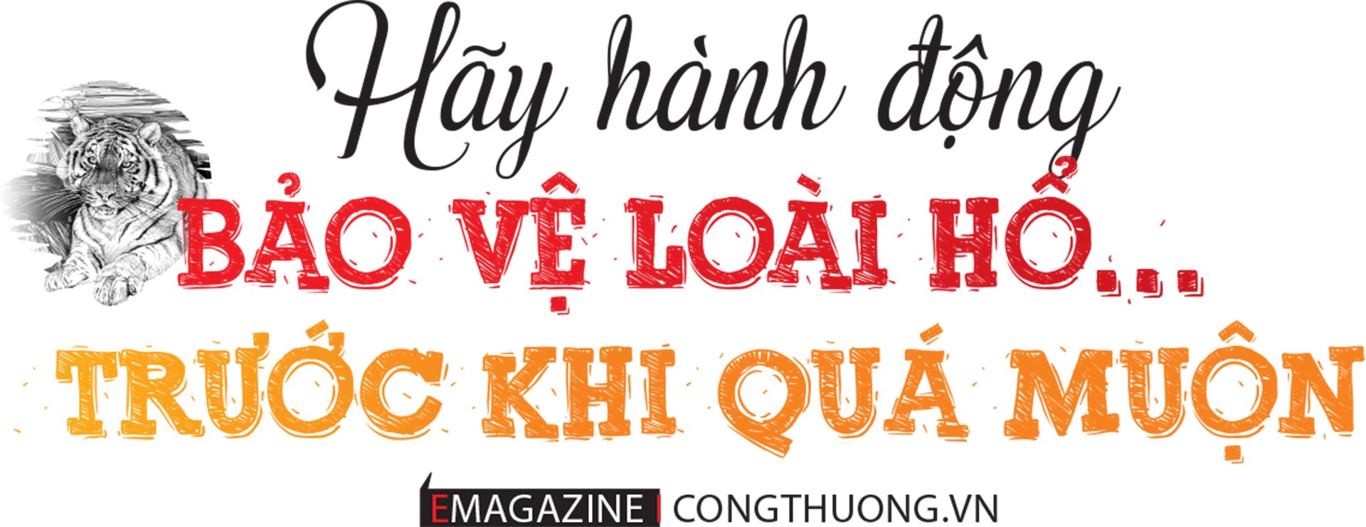 Chấm dứt nạn buôn bán hổ, cách nào? Chấm dứt nạn buôn bán hổ, cách nào?