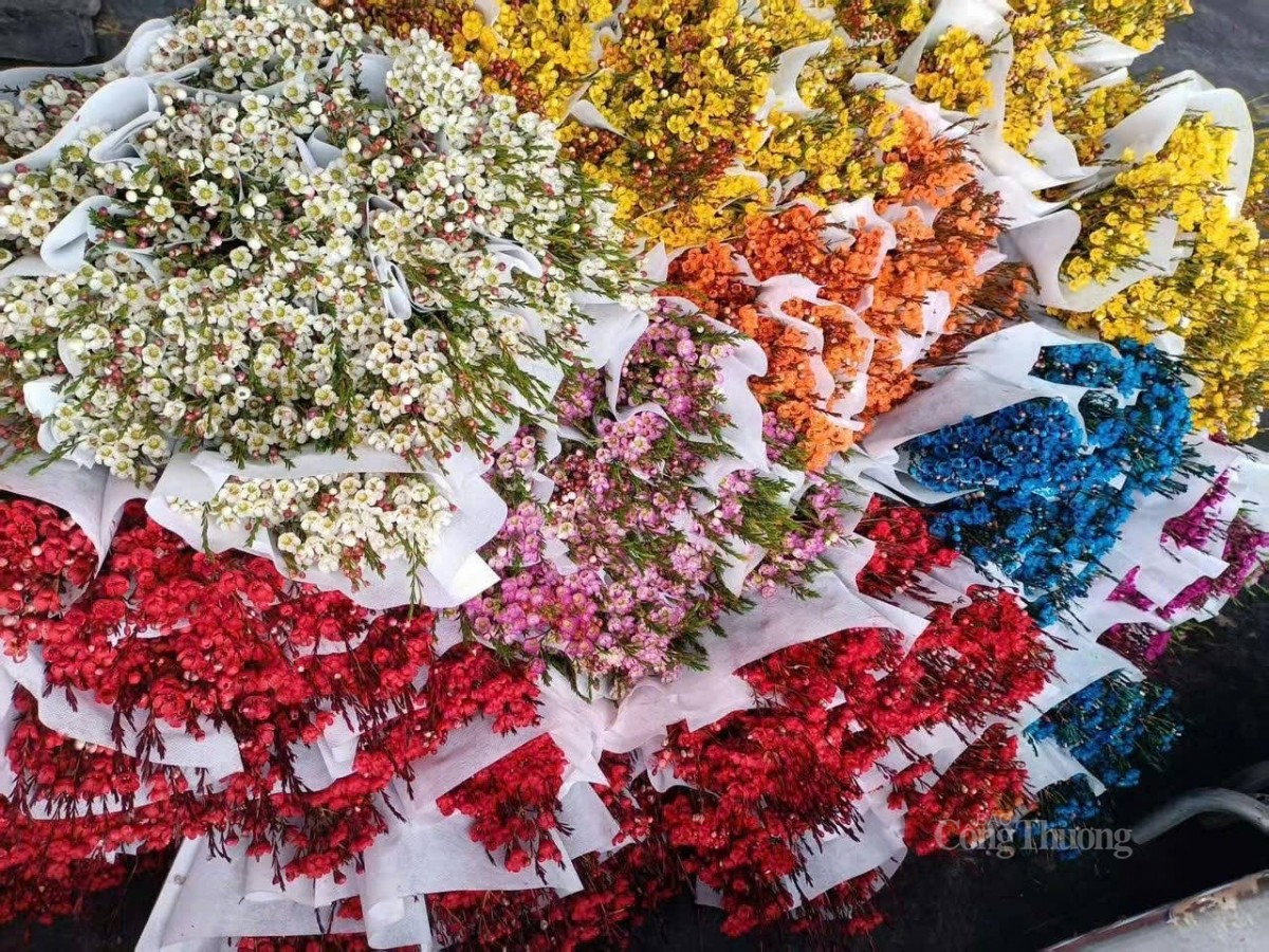 hoa thanh liễu cũng được nhiều người lựa chọn vì giá mềm, có nhiều màu sắc bắt mắt như xanh, đỏ, vàng nhưng khi cắm hoa dễ bị phai màu nước hoa thanh liễu cũng được nhiều người lựa chọn vì giá mềm, có nhiều màu sắc bắt mắt như xanh, đỏ, vàng nhưng khi cắm hoa dễ bị phai màu nước