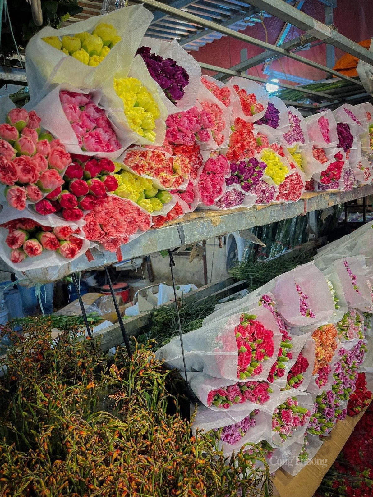 Đủ loại hoa tươi được xếp gọn gàng chờ đến tay người cắm. Ảnh: Nguyễn Thanh Đủ loại hoa tươi được xếp gọn gàng chờ đến tay người cắm. Ảnh: Nguyễn Thanh