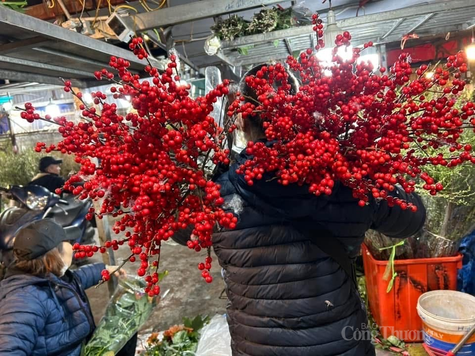 Đào đông đỏ luôn được yêu thích dịp Tết vì hoa bền, rực rỡ. Ảnh: Nguyễn Thanh Đào đông đỏ luôn được yêu thích dịp Tết vì hoa bền, rực rỡ. Ảnh: Nguyễn Thanh