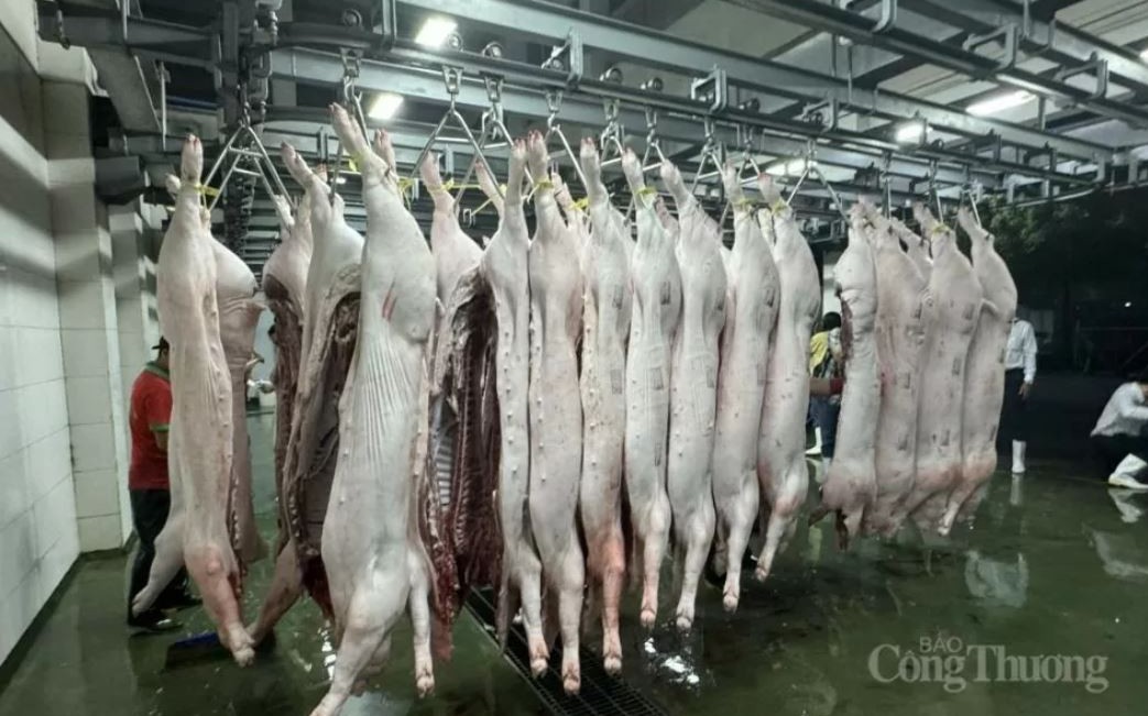 Mỗi ngày, chợ đầu mối Hóc Môn cung cấp khoảng 380 tấn thịt heo cho TP. Hồ Chí Minh. Mỗi ngày, chợ đầu mối Hóc Môn cung cấp khoảng 380 tấn thịt heo cho TP. Hồ Chí Minh.