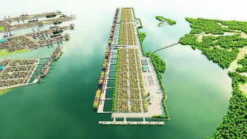 Thủ tướng chấp thuận chủ trương đầu tư dự án cảng trung chuyển quốc tế Cần Giờ