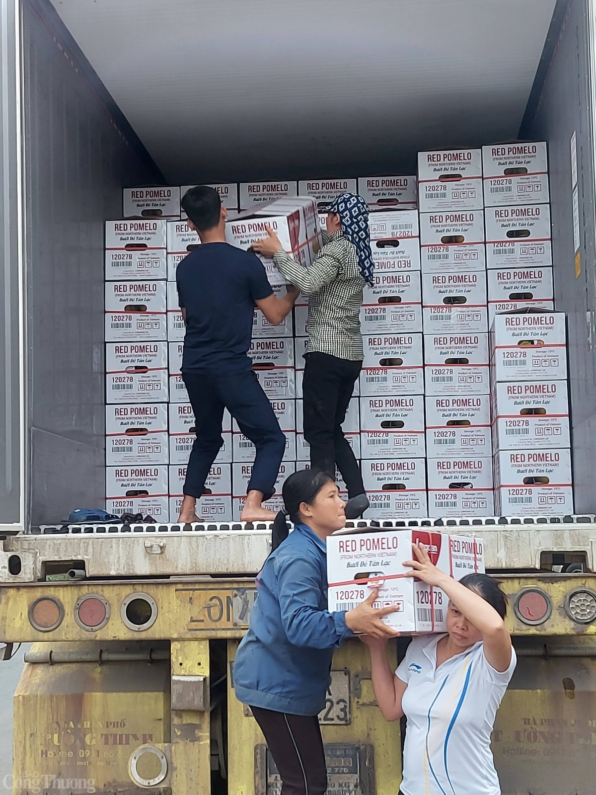 Hòa Bình bình ổn thị trường dịp Tết nguyên đán Ất Tỵ Hòa Bình bình ổn thị trường dịp Tết nguyên đán Ất Tỵ