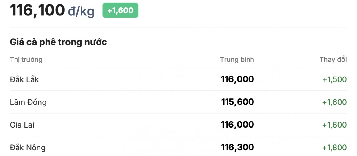 Bảng giá cà phê nội địa 17/1/2025