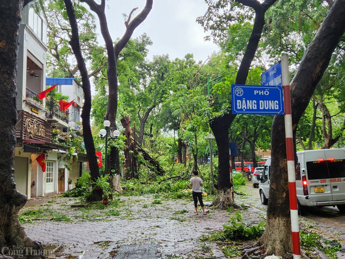 Những hình thái thời tiết dịp Tết Nguyên đán và năm 2025 Những hình thái thời tiết dịp Tết Nguyên đán và năm 2025