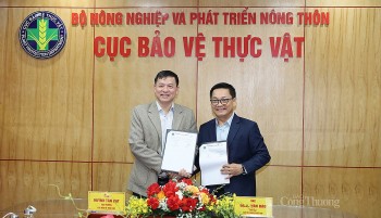 Hợp tác công - tư: Nâng cao giá trị nông sản