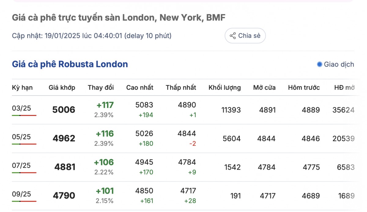 Giá cà phê hôm nay 19/1/2025: Giá cà phê tăng mạnh