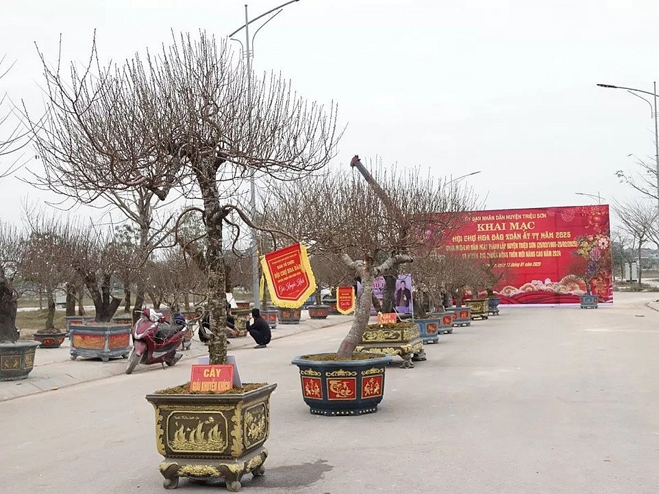 Thanh Hóa có nhiều sự kiện vui chơi hấp dẫn dịp Tết