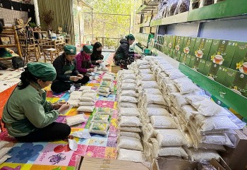 Bắc Kạn: Hàng Tết được tăng cường, đáp ứng nhu cầu tiêu dùng