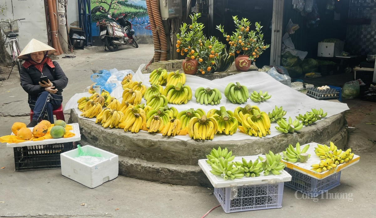 Trái cây tươi rất đa dạng. Ảnh: Nguyễn Thanh Trái cây tươi rất đa dạng. Ảnh: Nguyễn Thanh