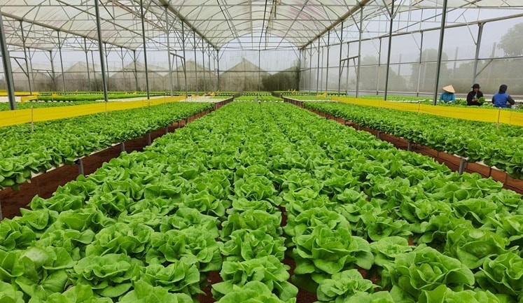 Phát triển khoa học, công nghệ: Câu chuyện từ Lâm Đồng