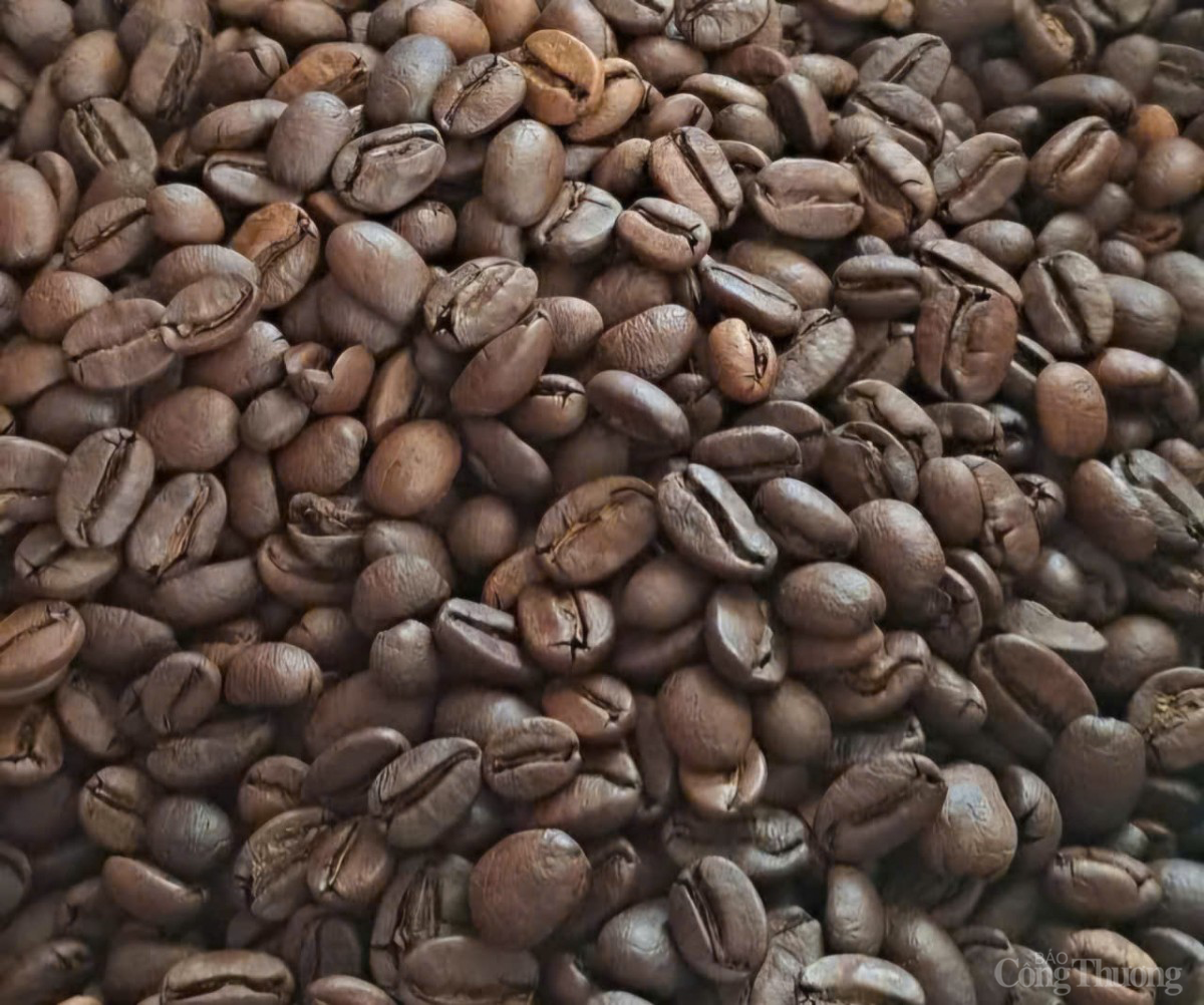 Giá cà phê hôm nay 21/1/2025: Giá cà phê Giá cà phê hôm nay 21/1/2025: Giá cà phê