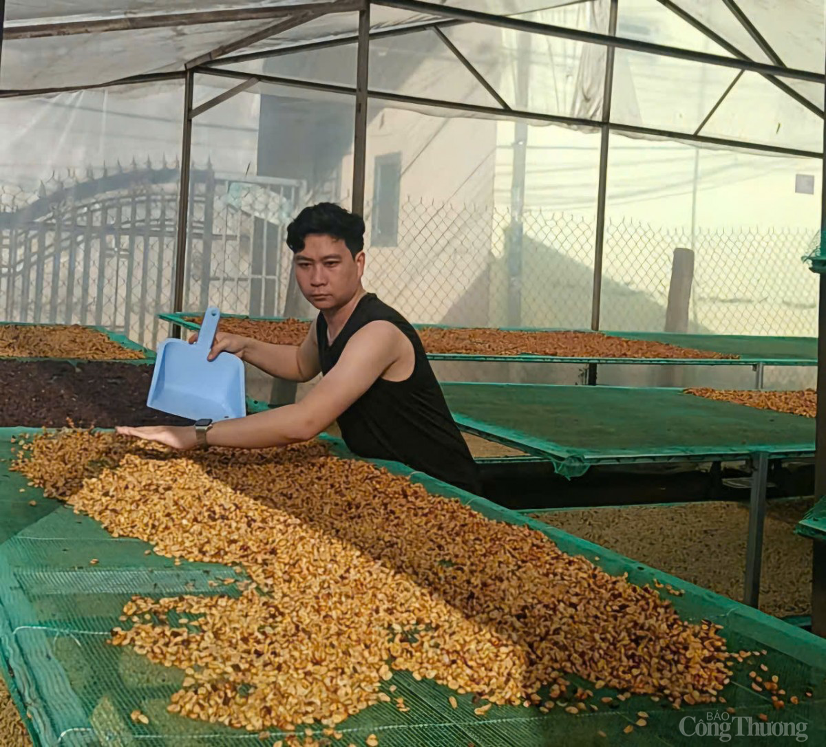 Giá cà phê hôm nay 21/1/2025: Giá cà phê Giá cà phê hôm nay 21/1/2025: Giá cà phê