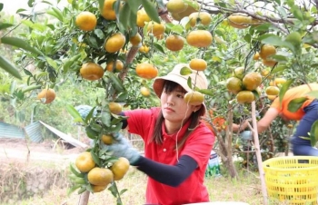 Quảng Ninh: Đẩy mạnh phát triển nông nghiệp gắn với du lịch