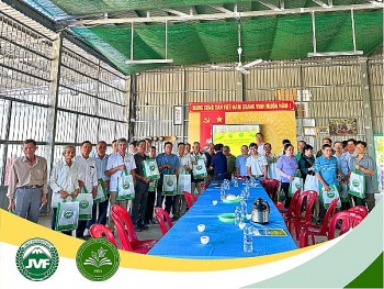 Đồng Tháp: Hướng dẫn chọn phân bón đúng và đủ cho cây