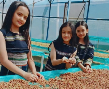 Dự báo giá cà phê ngày mai 22/1/2025 vượt mức 120.000 đồng/kg