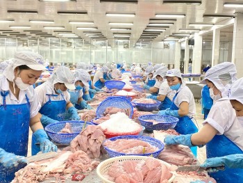 Thách thức trong xuất khẩu cá tra sang EU năm 2025?