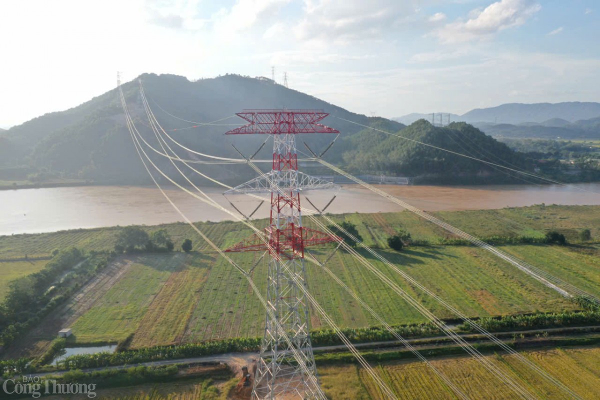 Xuân về trên đường dây 500kV mạch 3 Xuân về trên đường dây 500kV mạch 3