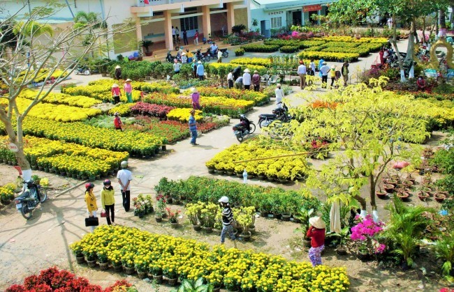 Cần Thơ: Trên 1 triệu chậu hoa phục vụ Tết Nguyên đán