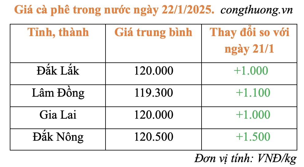 Giá cà phê hôm nay 22/1/2025: