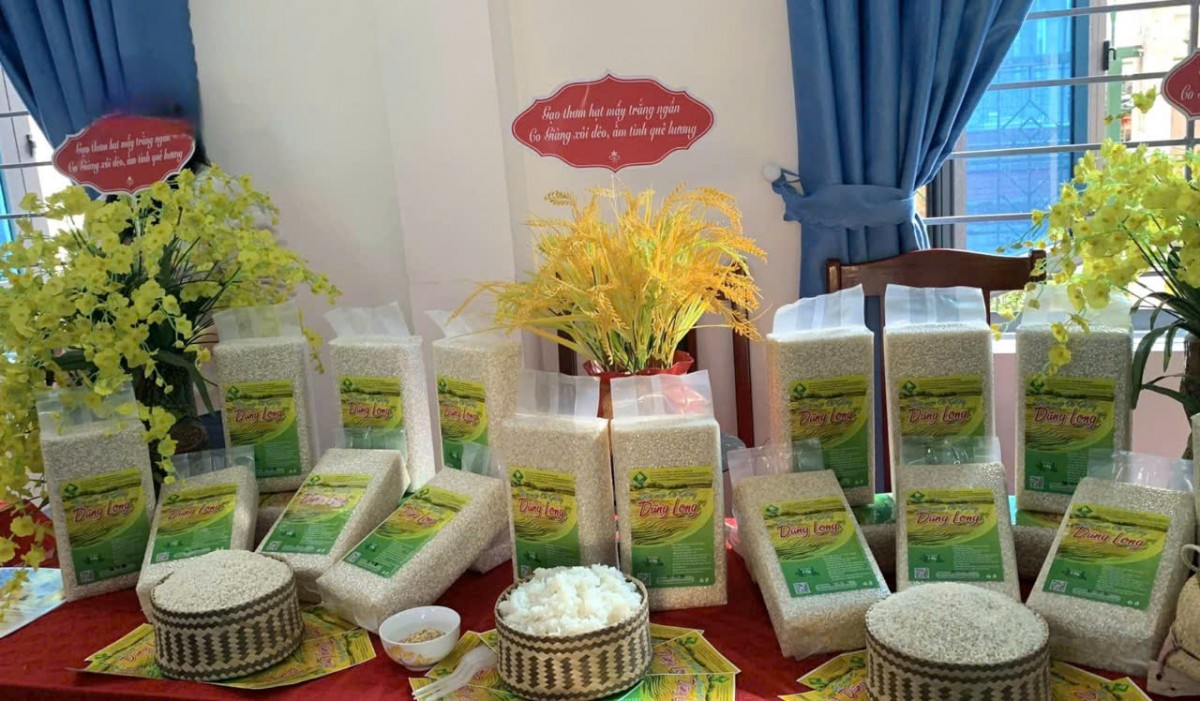 Lai Châu: Sản phẩm OCOP - món quà trao gửi dịp Tết Lai Châu: Sản phẩm OCOP - món quà trao gửi dịp Tết