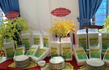 Lai Châu: Sản phẩm OCOP - món quà trao gửi dịp Tết