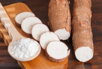 Trung Quốc - thị trường tiêu thụ sắn lớn nhất của Việt Nam