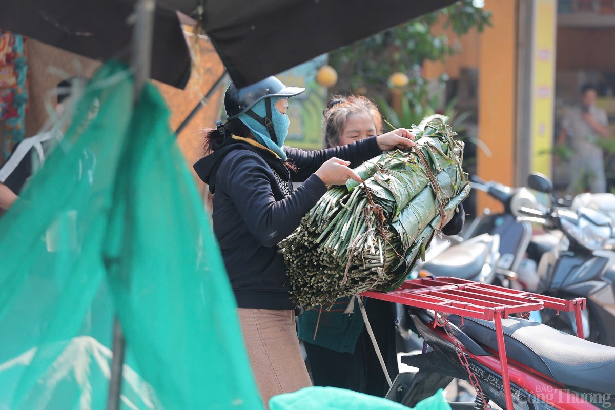Chợ lá dong lâu đời tại Hà Nội nhộn nhịp ngày giápTết