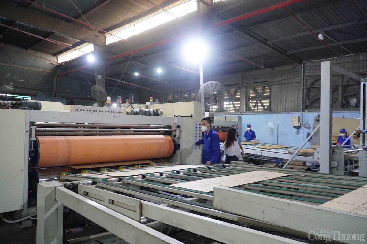 Công ty Bao bì Hòa Bình đầu tư liên tục hơn 8 tỷ đồng cho máy móc công nghệ để sản xuất sạch hơn