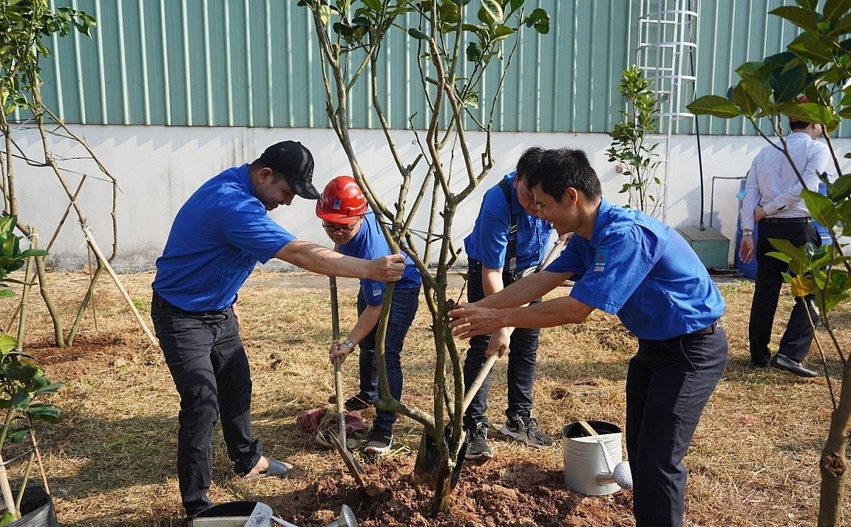 Phú Mỹ tập trung vào phát triển bền vững Phú Mỹ tập trung vào phát triển bền vững