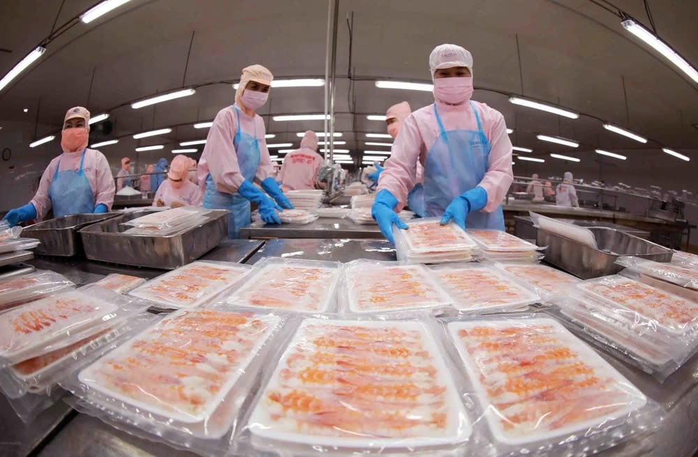 Chế biến tôm xuất khẩu. Ảnh: Vũ Sinh