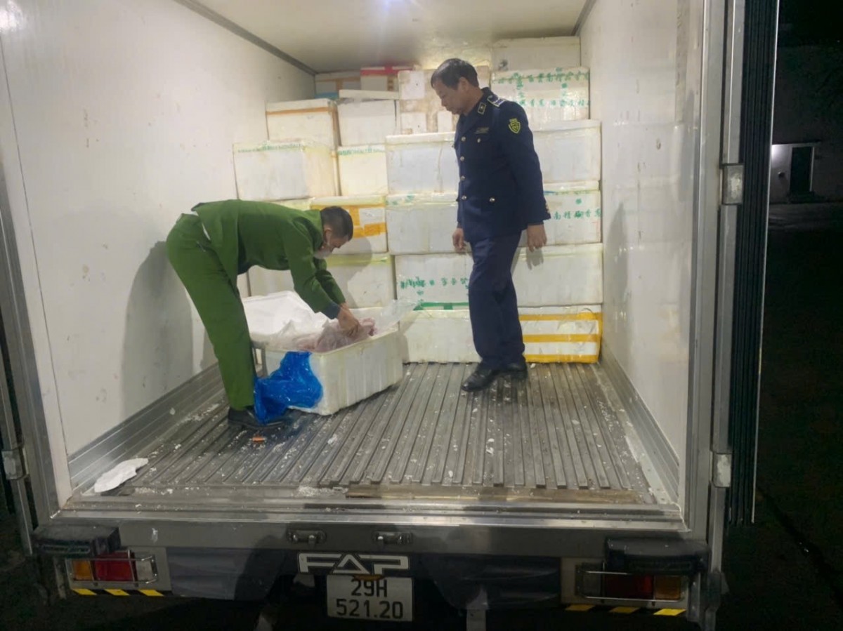 Hà Nội: Tạm giữ 7.000 kg lòng lợn không rõ nguồn gốc