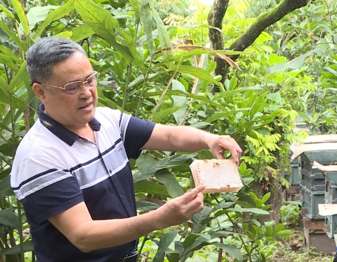 Ông Nguyễn Anh Tuấn bên những sản phẩm mật ong bánh tổ