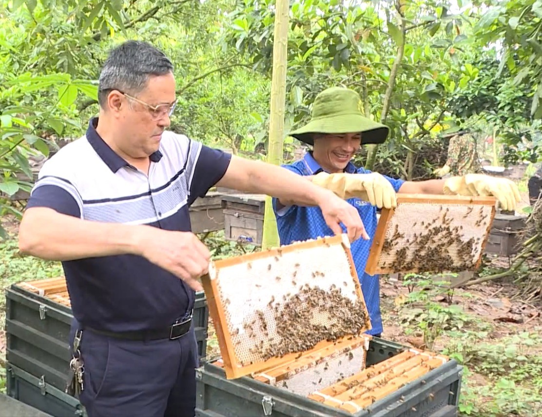 Ông Nguyễn Anh Tuấn bên những đàn ong