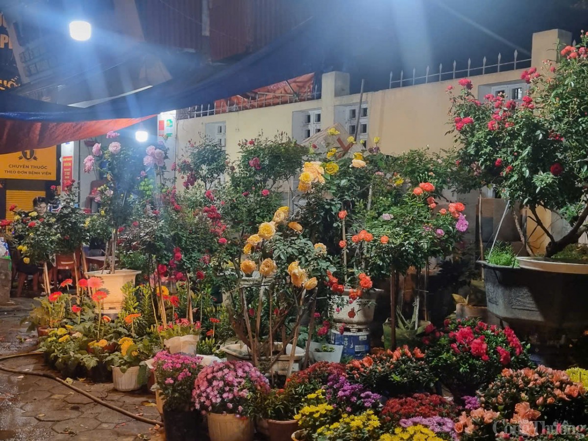 Mưu sinh trong đêm trên phố cây cảnh lớn nhất Hà Nội