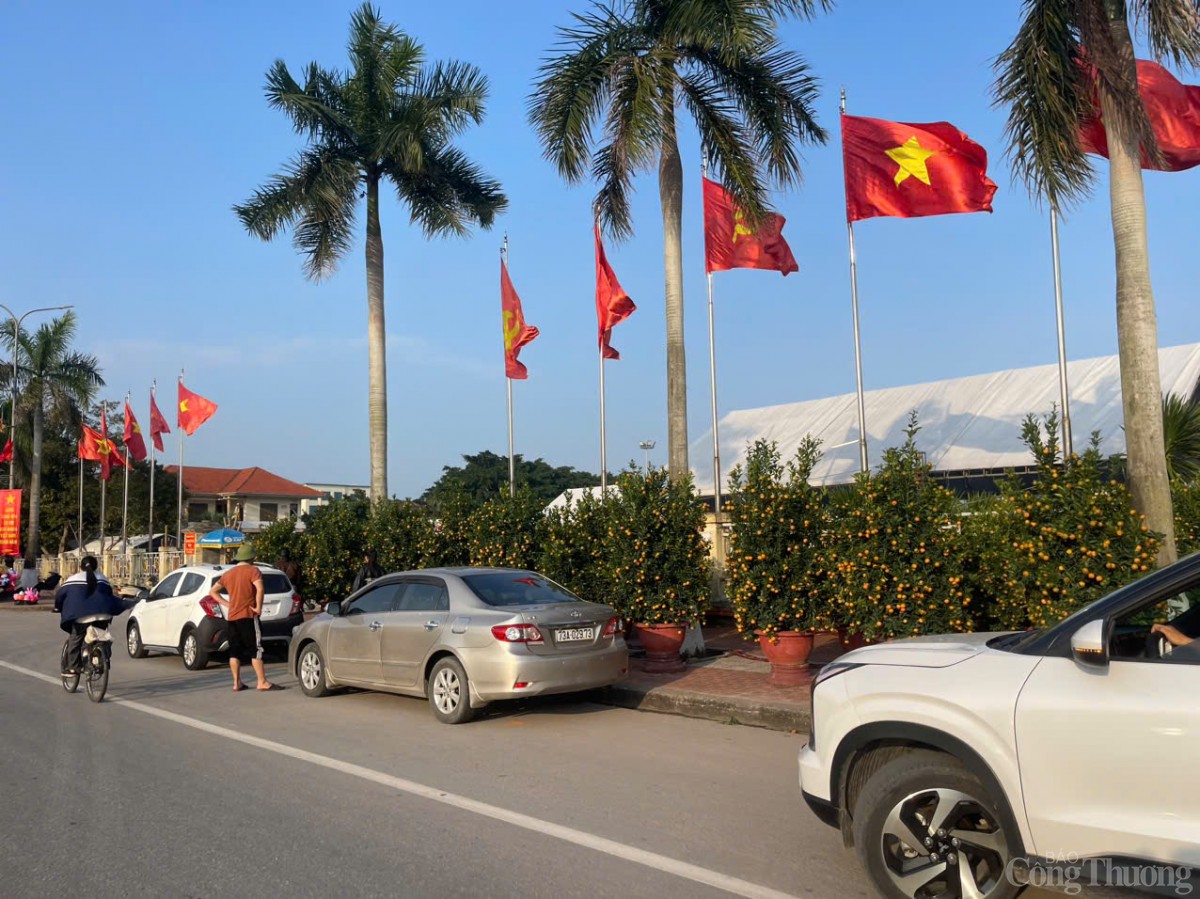 Ảm đạm thị trường hoa Tết tại Quảng Bình