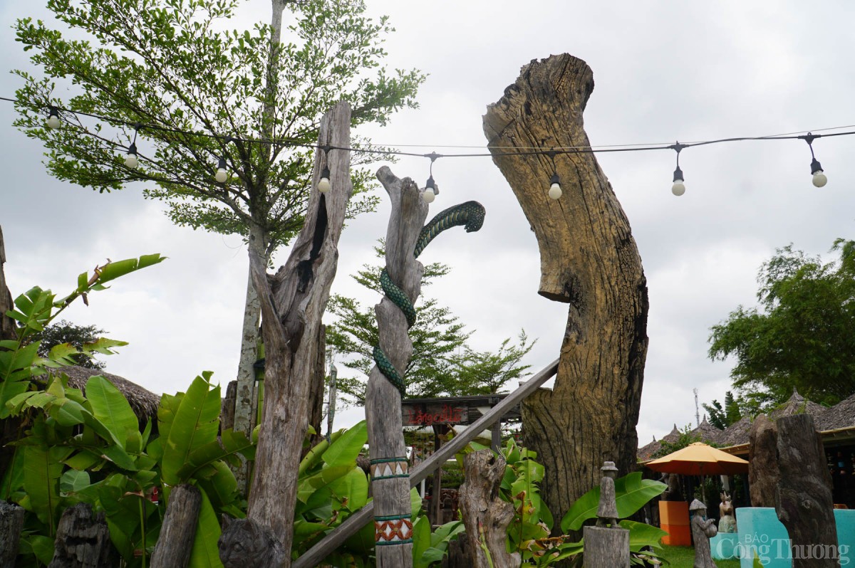 Linh vật rắn tượng trưng cho sự phát triển, tái sinh, sự may mắn