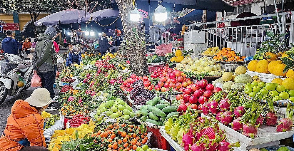 Giá một số loại trái cây ngon để trưng cúng trong dịp Tết như cam canh, quýt đường, thanh long, xoài cát Hòa Lộc, vú sữa... tăng nhẹ so với ngày thường. 