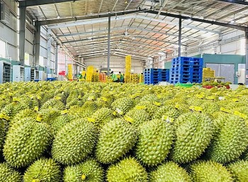 Ngành rau quả Việt Nam hướng tới kim ngạch 8 tỷ USD
