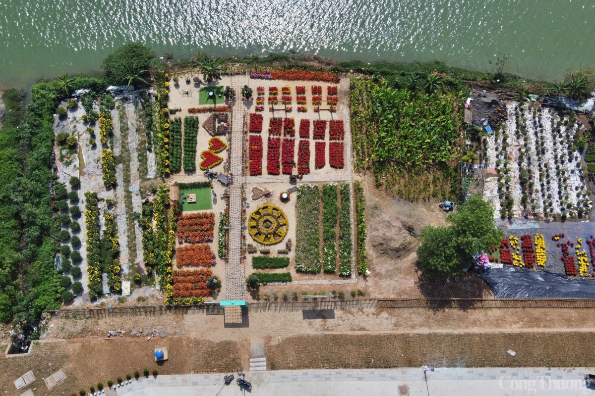 Khu vực trang trí hoa Tết tại quận Cẩm Lệ