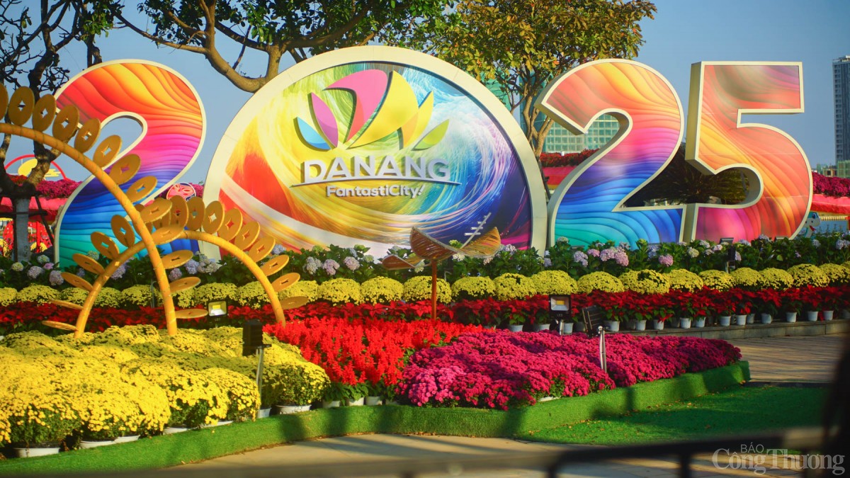 Theo Sở Xây dựng Đà Nẵng, có khoảng 200.000 nghìn chậu hoa các loại được sử dụng để trang trí tại 14 điểm, như hoa cúc mâm xôi, sao nhái, trạng nguyên,….