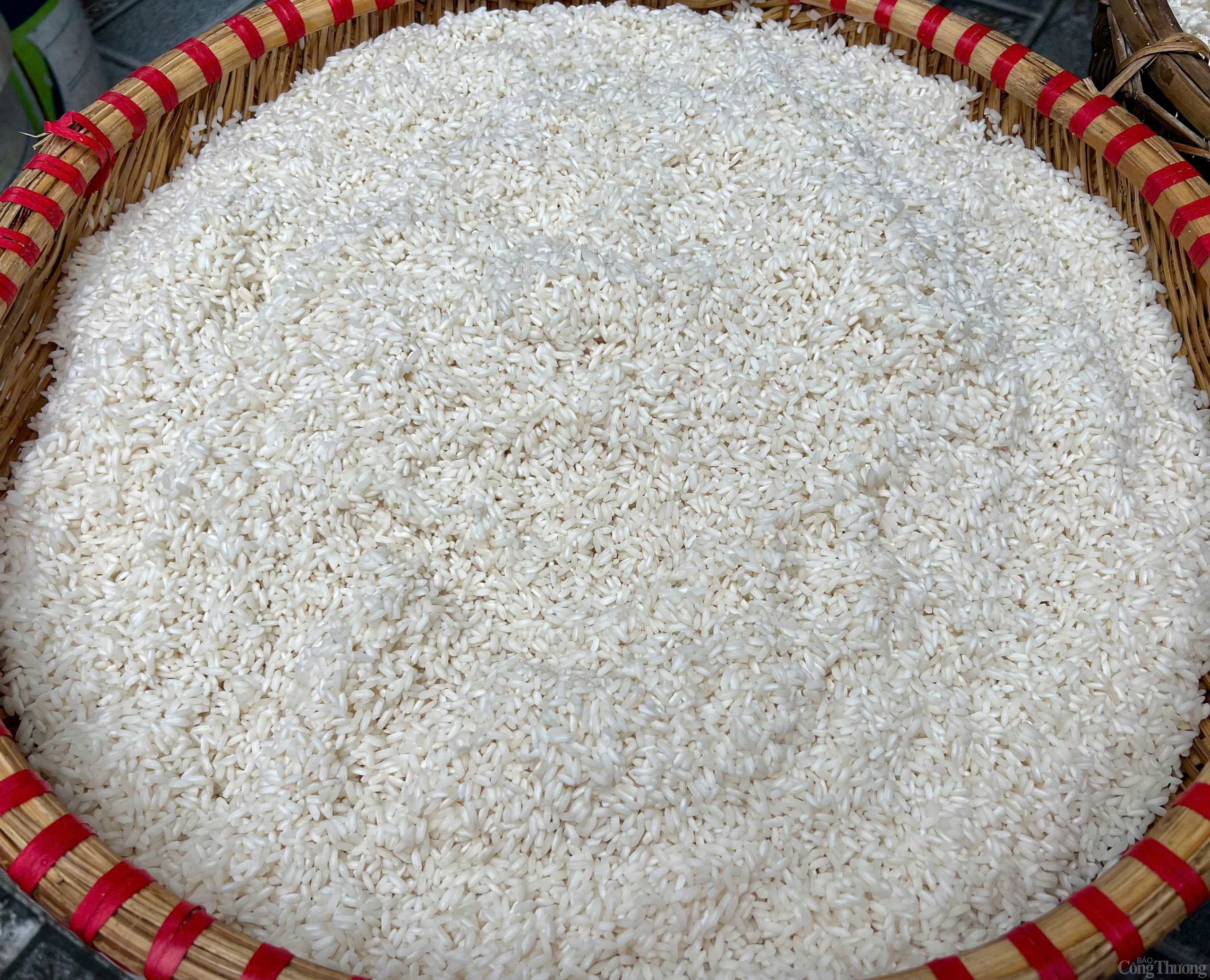 Thái Bình: Làng bánh chưng Cầu Báng tất bật dịp Tết Thái Bình: Làng bánh chưng Cầu Báng tất bật dịp Tết