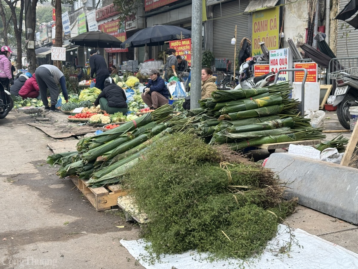 Ngày 27/1 (tức 28 Tết Âm lịch), theo ghi nhận của phóng viên Báo Công Thương, trong nhiều khu chợ dân sinh ở Hà Nội như chợ Đền Lừ, chợ Lĩnh Nam, chợ Cầu Giấy hay khắp các con đường, ngõ phố… mùi già được bày bán nhiều, người mua đông tấp nập.
