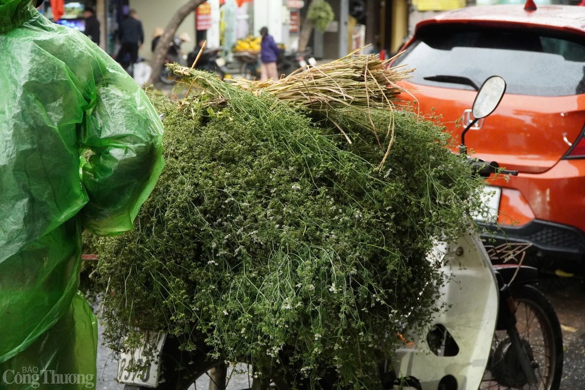 Phố phường thơm nức hương mùi già ngày cận Tết