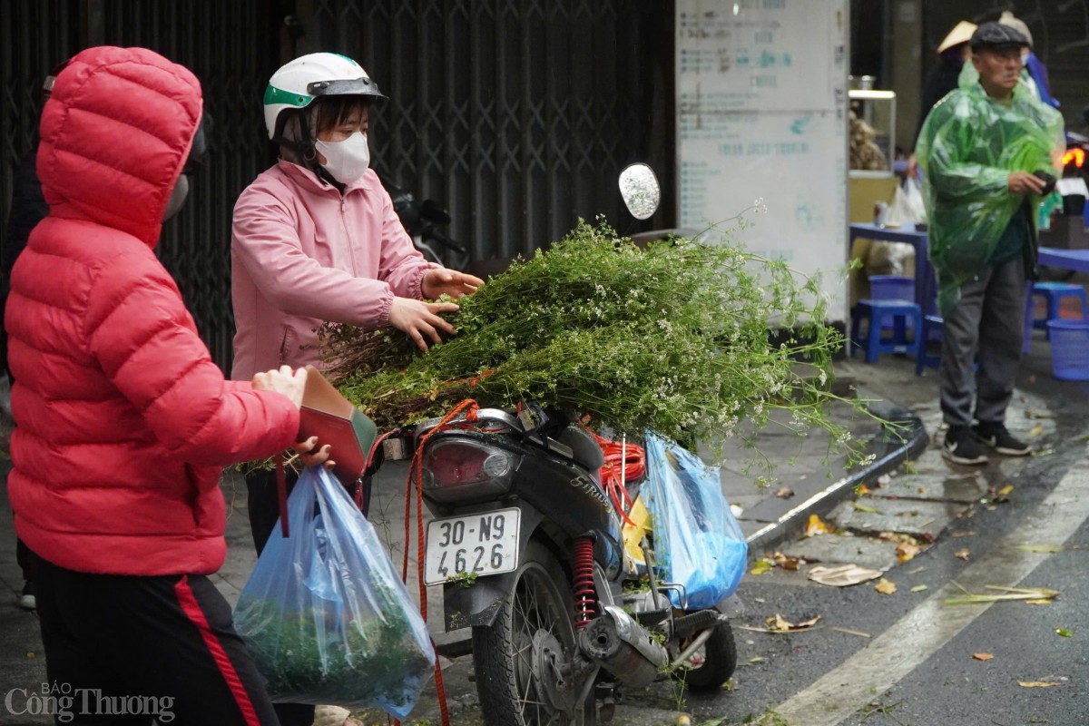 Cô Trần Lan - một người bán mùi già tại chợ đầu mối phía Nam Hà Nội cho biết, để chuẩn bị cho Tết, mùi già sẽ được gieo từ tháng 9 rồi đến tháng Chạp thì bắt đầu vào thu hoạch.