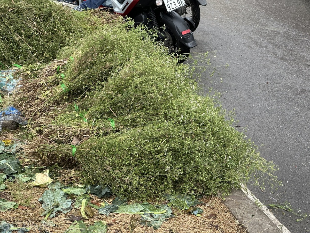 Phố phường thơm nức hương mùi già ngày cận Tết