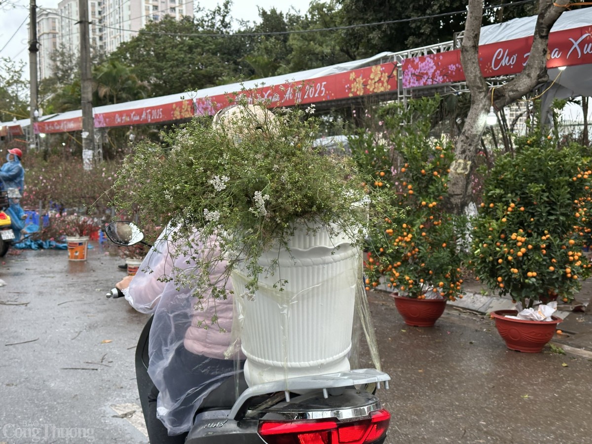 Phố phường thơm nức hương mùi già ngày cận Tết