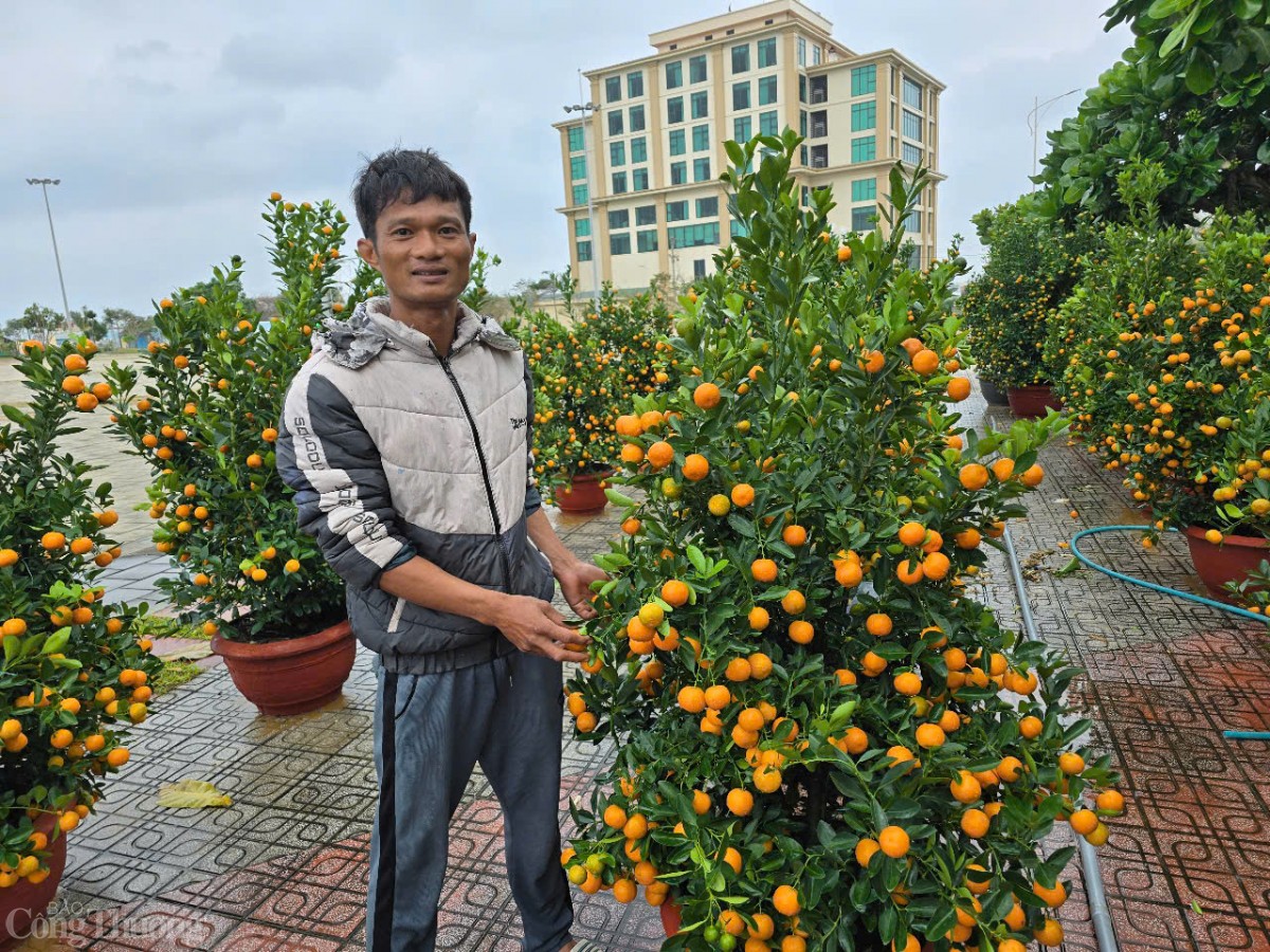 Lý Sơn ngày cuối năm Lý Sơn ngày cuối năm