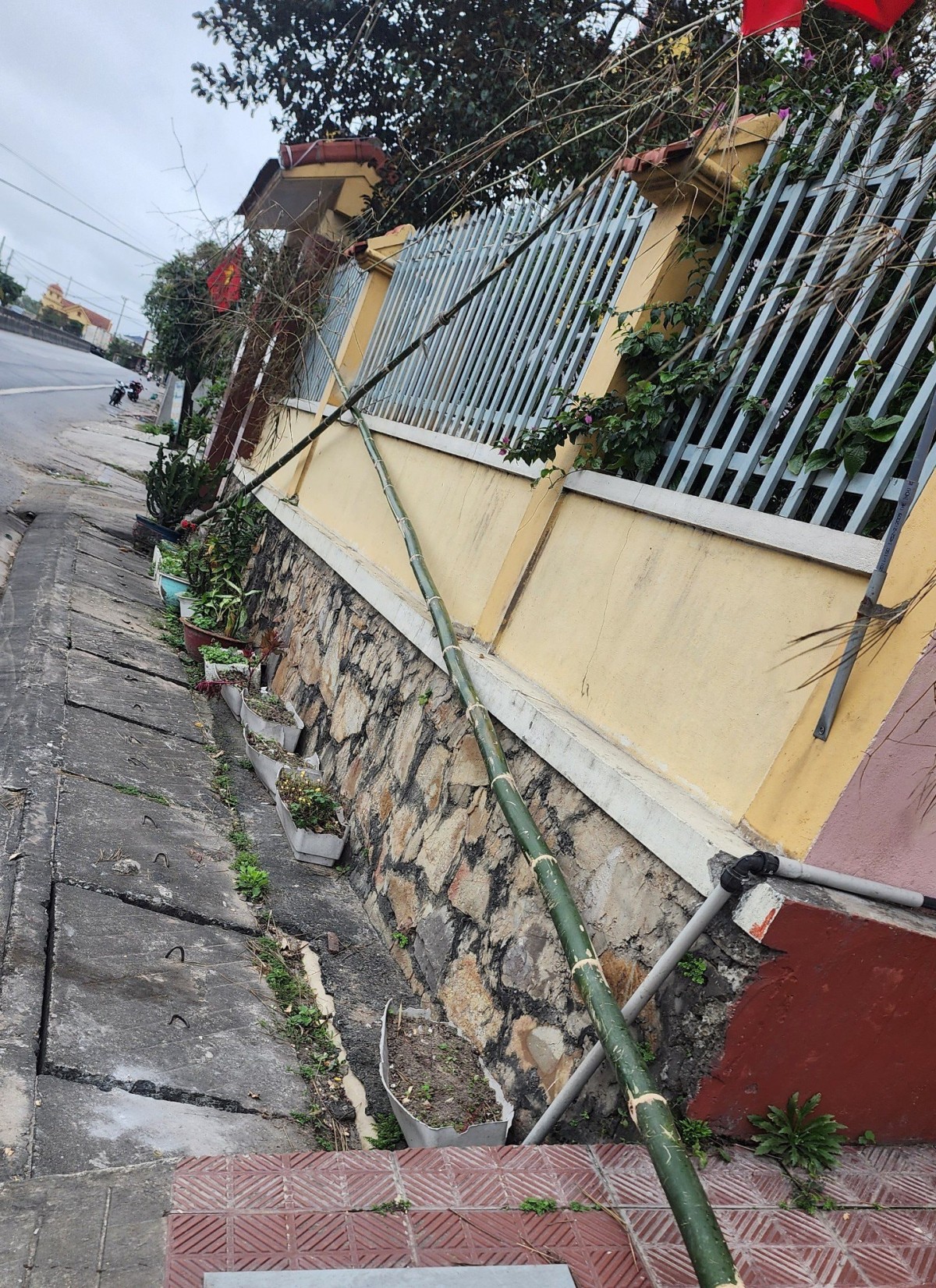 Cây nêu Tết tại các làng biển ở Quảng Bình chuẩn bị được dựng lên Cây nêu Tết tại các làng biển ở Quảng Bình chuẩn bị được dựng lên