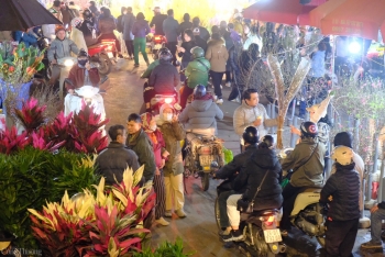 Hà Nội: Chợ hoa lớn bậc nhất đông nghịt đêm cuối năm